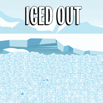Iced Out Penguin With Baseball Cap GIF