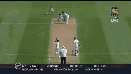 Icekane Kanewilliamson GIF