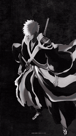 Ichigo Kurosaki Soul Reaper GIF