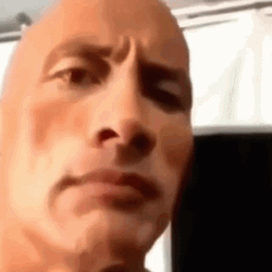 Iconic One Eyebrow Raise The Rock GIF