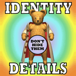 Identity Details Teddy Bear