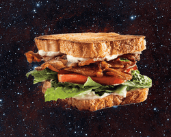 Idiot Sandwich In Galaxy Background GIF