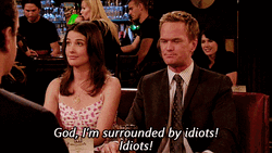 Idiots How I Met Your Mother GIF