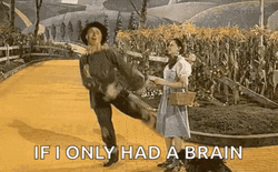 If I Only Had A Brain Meme GIF