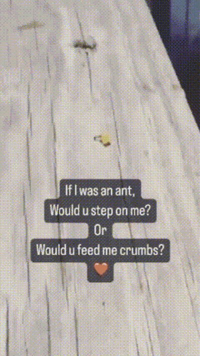 If I Was An Ant Would U Step On Me Or Would U Feed Me Crumbs? GIF
