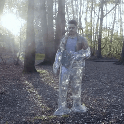 Ignace Aleya Freeze In The Middle Of The Forest GIF
