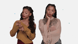 Ignore Halle And Chloe GIF