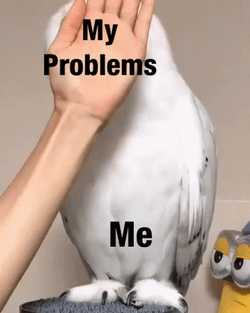 Ignoring GIF