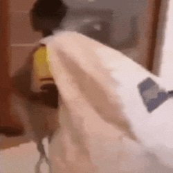 Ilgbtenha Stantwt GIF
