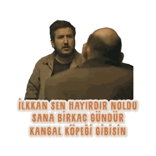 Ilkkan Sen Hayirdir Noldu Kangal Dog Sticker