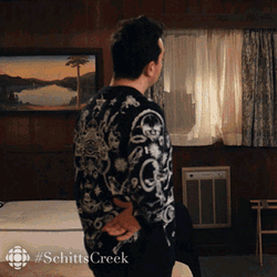 Ill Pretend I Didnt Hear That David Rose GIF