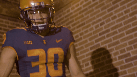 Illinois Fighting Illini Cheering Applause GIF