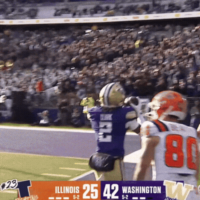 Illinois Vs Washington Football Game GIF