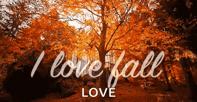 Ilovefall GIF