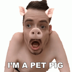 Im A Pet Pig GIF