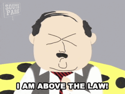 Im Above The Law I Got The Power GIF