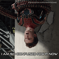 Im Confused Right Now GIF