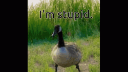 Im Dumb Stupid Ahh Goose GIF