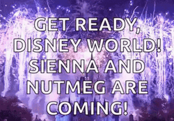 Im Going To Disney World Amazing Fireworks GIF