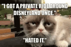 Im Going To Disney World Grumpy Cat GIF