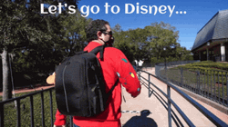 Im Going To Disney World Let's Go GIF