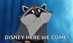 Im Going To Disney World Meeko Racoon GIF