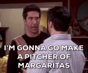 Im Gonna Go Make Pitcher Of Margaritas GIF