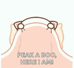 Im Here Peak A Boo GIF