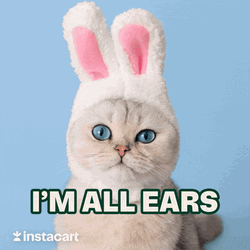 Im Listening Cute Cat Bunny Ears GIF