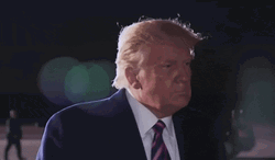 Im Listening Donald Trump All Ears GIF