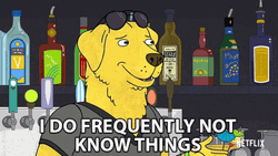 Im Not A Smart Man Bojack Horseman GIF