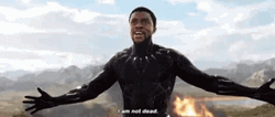Im Not Dead Yet Black Panther Avengers GIF