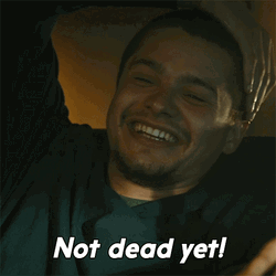 Im Not Dead Yet Laughing Toby Wallace GIF