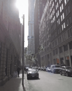 Im Rich Coins And Bills Flowing GIF