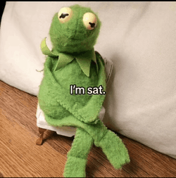 Im Sat Kermit The Frog GIF