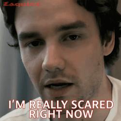 Im So Scared Liam Payne GIF