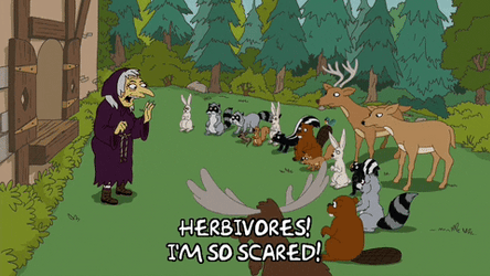 Im So Scared The Simpsons Witch GIF