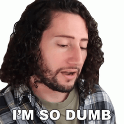 Im Stupid Nicola Foti GIF