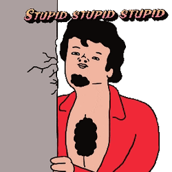 Im Stupid Panic Attack GIF