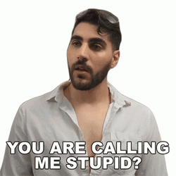 Im Stupid Rudy Ayoub Guitarist GIF