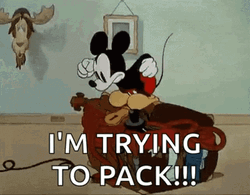 Im Trying To Packing Mickey GIF