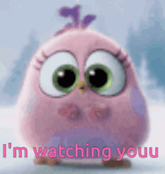 Im Watching You Angry Bird Big Eyes GIF