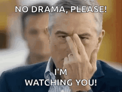 Im Watching You Robert De Niro No Drama GIF