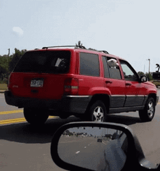 Impatient Dog In Car GIF