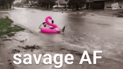 In A Savage Enjoyment GIF