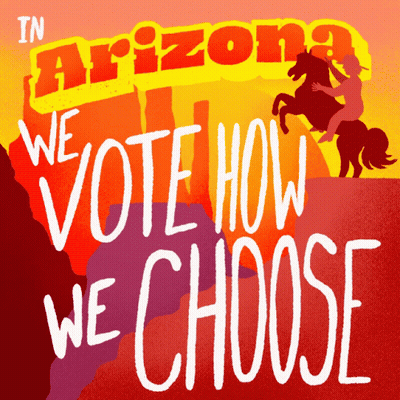 In Arizona We Vote How We Choose GIF