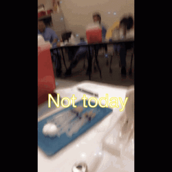 In Class Not Today GIF