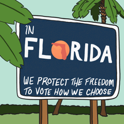In Florida Protect Freedom How We Choose GIF