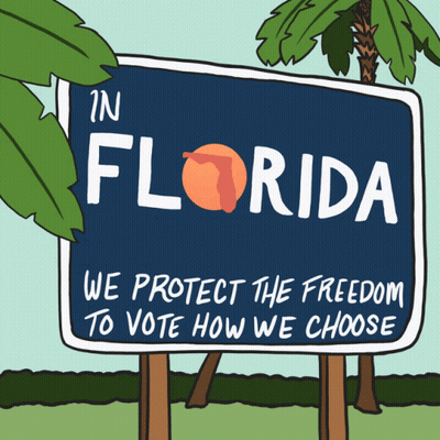 In Florida We Protect The Freedom To Vote How We Choose Florida GIF