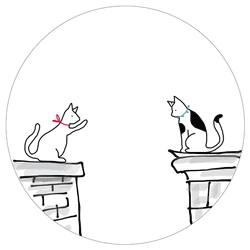 In Love Cats Hearts GIF
